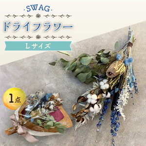 yӂ邳Ɣ[ŁzhCt[ SWAG XbO LTCY / ԑ CeA V / 呺s / AgEՉԉ[ACZZ003]