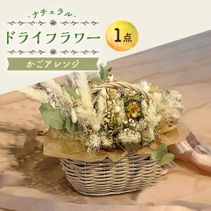 yӂ邳Ɣ[ŁzhCt[ i`  AW  CeA V l炵 z 呺s AgEՉԉ[ACZZ004]