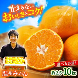 【ふるさと納税】高評価★4.71【先行予約！11月中旬頃〜1月中旬配送】長崎県産 温州みかん 約2.5kg～10kg / みかん 柑橘 ミカン 蜜柑 2.5kg 5kg 10kg 選べる容量 フルーツ 果物 / 大村市 / 山光農園[ACAI001]