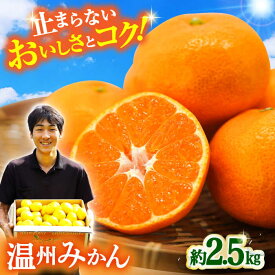 【ふるさと納税】【11月中旬頃～1月中旬配送】長崎県産 温州みかん 約2.5kg / みかん 柑橘 2.5kg フルーツ 果物 / 大村市 / 山光農園[ACAI001]