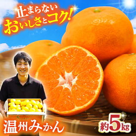 【ふるさと納税】【11月中旬頃～1月中旬配送】長崎県産 温州みかん 約5kg / みかん 柑橘 5kg フルーツ 果物 / 大村市 / 山光農園[ACAI002]
