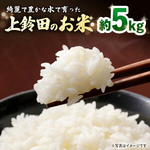 yӂ邳Ɣ[ŁzyR7NYVĐstF10ȍ~zĉ 5kg /   茧Y / 呺s / c_[ACAJ008]