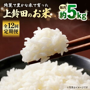 yӂ邳Ɣ[ŁzyS12ցzߘa7NY ĉ 5kg   茧Y 呺s c_[ACAJ010]