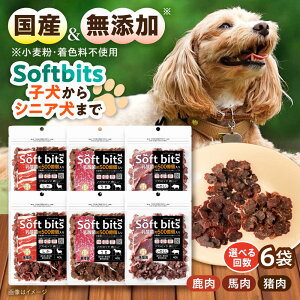 �y�ӂ邳�Ɣ[�Łz�y�I�ׂ邨�͂��񐔁zSoftbits �h�b�O�t�[�h ���A�\�[�g�i40g×6P�j/ �h�b�O�t�[�h �� ���� �h�b�O ����� �y�b�g�t�[�h / �呺�s / �T�|�[�g[ACAM003]