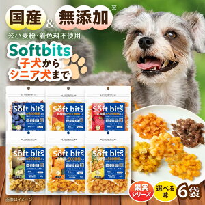 �y�ӂ邳�Ɣ[�Łz�y�I�ׂ閡�zSoftbits �h�b�O�t�[�h �A�\�[�g�ʕ� �i40g×6P�j/ �h�b�O�t�[�h �� ���� �h�b�O ����� �y�b�g�t�[�h / �呺�s / �T�|�[�g[ACAM004]