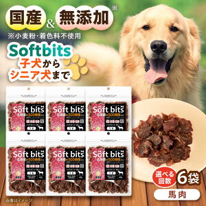 �y�ӂ邳�Ɣ[�Łz�y�I�ׂ邨�͂��񐔁zSoftbits �h�b�O�t�[�h �n�i40g×6P�j/ �h�b�O�t�[�h �� ���� �h�b�O ����� �y�b�g�t�[�h / �呺�s / �T�|�[�g[ACAM008]