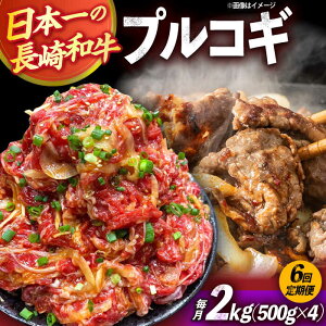 yӂ邳Ɣ[Łzy6ցzavRM؂藎Ƃ2kg 500g×4pbN Ⓚ^pbN /  vRM tς  ^pbN / 呺s / ƂXgA[[ACAN100]