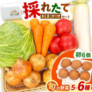 yӂ邳Ɣ[ŁẑꂽĂ؂܂i5`6jE6Zbg/  ₳ ؃Zbg ؋lߍ킹 lߍ킹 Zbg ܂  ^}S g܂ ܂ / 呺s / ƂX