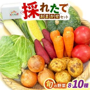 yӂ邳Ɣ[ŁẑꂽĂ؂܂Zbgi8`10j/  ₳ ؃Zbg ؋lߍ킹 lߍ킹 Zbg / 呺s / ƂXgA[[ACAN106]