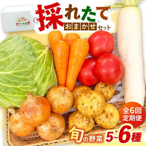 �y�ӂ邳�Ɣ[�Łz�y�S6�����ցz�̂ꂽ�Ă���؂��܂����Z�b�g�i5�`6��j/ ��� �₳�� ��؃Z�b�g ��؋l�ߍ��킹 �l�ߍ��킹 �Z�b�g / �呺�s / ���Ƃ�X�g�A�[[ACAN127]