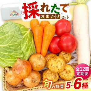 �y�ӂ邳�Ɣ[�Łz�y�S12�����ցz�̂ꂽ�Ă���؂��܂����Z�b�g�i5�`6��j/ ��� �₳�� ��؃Z�b�g ��؋l�ߍ��킹 �l�ߍ��킹 �Z�b�g / �呺�s / ���Ƃ�X�g�A�[[ACAN128]