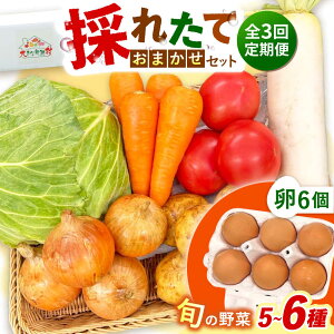 �y�ӂ邳�Ɣ[�Łz�y�S3�����ցz�̂ꂽ�Ă���؂��܂����i5�`6��j�E��6�Z�b�g/ ��� �₳�� ��؃Z�b�g ��؋l�ߍ��킹 �l�ߍ��킹 �Z�b�g ���܂� �� �^�}�S �g���܂� �����܂��� / ��