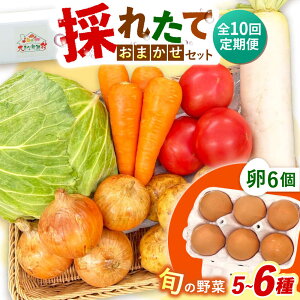 �y�ӂ邳�Ɣ[�Łz�y�S10�����ցz�̂ꂽ�Ă���؂��܂����i5�`6��j�E��6�Z�b�g/ ��� �₳�� ��؃Z�b�g ��؋l�ߍ��킹 �l�ߍ��킹 �Z�b�g ���܂� �� �^�}�S �g���܂� �����܂��� / 