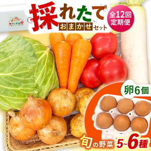 �y�ӂ邳�Ɣ[�Łz�y�S12�����ցz�̂ꂽ�Ă���؂��܂����i5�`6��j�E��6�Z�b�g/ ��� �₳�� ��؃Z�b�g ��؋l�ߍ��킹 �l�ߍ��킹 �Z�b�g ���܂� �� �^�}�S �g���܂� �����܂��� / 