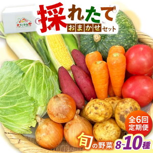 �y�ӂ邳�Ɣ[�Łz�y�S6�����ցz�̂ꂽ�Ă���؂��܂����Z�b�g�i8�`10��j/ ��� �₳�� ��؃Z�b�g ��؋l�ߍ��킹 �l�ߍ��킹 �Z�b�g / �呺�s / ���Ƃ�X�g�A�[[ACAN134]