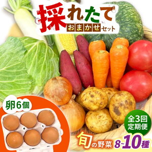 �y�ӂ邳�Ɣ[�Łz�y�S3�����ցz�̂ꂽ�Ă���؂��܂����i8�`10��j�E��6�Z�b�g/ ��� �₳�� ��؃Z�b�g ��؋l�ߍ��킹 �l�ߍ��킹 �Z�b�g ���܂� �� �^�}�S �g���܂� �����܂��� / 