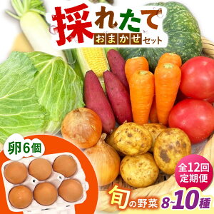 �y�ӂ邳�Ɣ[�Łz�y�S12�����ցz�̂ꂽ�Ă���؂��܂����i8�`10��j�E��6�Z�b�g/ ��� �₳�� ��؃Z�b�g ��؋l�ߍ��킹 �l�ߍ��킹 �Z�b�g ���܂� �� �^�}�S �g���܂� �����܂��� / 