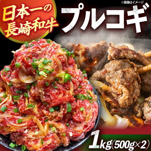 yӂ邳Ɣ[ŁzavRM؂藎Ƃ1kgi500g×2Pj/  vRM Ղ邱 tς  ^pbN a t Ⓚ Ă / 呺s ƂXgA[ [ACAN045]