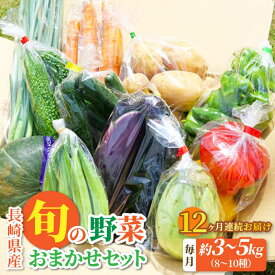 【ふるさと納税】【全12回定期便】大村産とれたてお野菜おまかせセット(8～10種) / 季節 旬 春野菜 夏野菜 秋野菜 / 大村市 / かとりストアー[ACAN060]