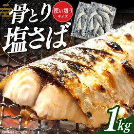 【ふるさと納税】骨取り塩さば 1kg 500g×2袋 / 小分け / 大村市 / かとりストアー / サバ 骨なし サバ 骨取り 骨取りさば 骨取りサバ 骨無しさば 骨無しサバ 骨抜きさば 骨抜きサバ 下処理不要 子ども 安心 冷凍 さば サバ 鯖[ACAN085]