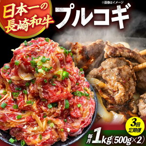 yӂ邳Ɣ[Łzy3ցzavRM؂藎Ƃ1kg 500g×2pbN Ⓚ^pbN /  vRM tς  ^pbN / 呺s / ƂXgA[[ACAN093]