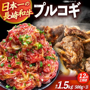 yӂ邳Ɣ[Łzy12ցzavRM؂藎Ƃ1.5kg 500g×3pbN Ⓚ^pbN /  vRM tς  ^pbN / 呺s / ƂXgA[[ACAN098]