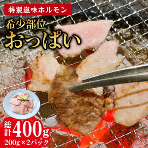 yӂ邳Ɣ[Łzy󏭕ʂςzz v400gi200g×2Pj/ z ق z ؃z 󏭕 Y  ݑ ē  BBQ / 呺s / z낭߂[ACAO0