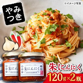 【ふるさと納税】朱にんにく 調味料 2個セット / ニンニク 唐辛子 調味料 スタミナ / 大村市 / 笑顔のおとも[ACBN002]