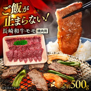 yӂ邳Ɣ[Łzaēp 500g /      ē  uh a / 呺s / ܂邵񏤉[ACCD018]