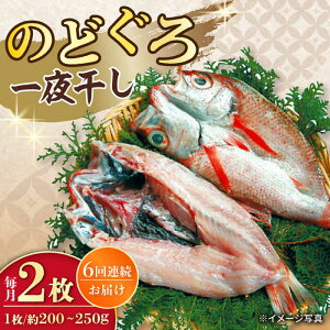 yӂ邳Ɣ[Łzy6ցzԂނîǂj銱 200g`250g×2 / AJc Ԃނ ԃc ̂ǂ mhO 銱   Ђ / 呺s / iKXC [ACYQ060]