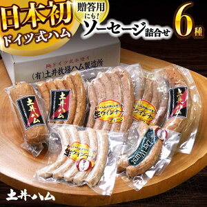 yӂ邳Ɣ[Łz\[Z[WliⓀjGR 6 25{ 呺s yn[ACYV005]