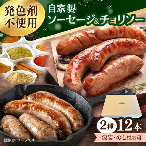 yӂ邳Ɣ[Łz\[Z[W 2Zbg v12{ iv[E`\[j tNtg 呺s Torresnx[RH[[ACYW006]