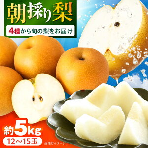 yӂ邳Ɣ[Łzy2025N9`z茧Y ̂{̗ 5kg 12ʁ`15 /  iV Ȃ ʕ t[c L H Â V / 呺s / Yg[ACZC007]