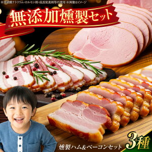 yӂ邳Ɣ[ŁzyYz nx[RZbg/ n x[R Zbg 񂹂 ܂/呺s/Yg[ACZC009]