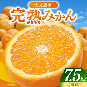 yӂ邳Ɣ[Łzys\E10{ȍ~z݂ 7.5kg l 茧Y /k ݂ /呺s 喔_[ACZO007]