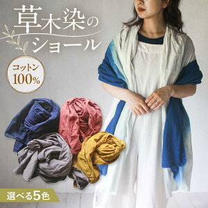 yӂ邳Ɣ[ŁzyIׂJ[zؐ RbgV[ / 唻 V[ Xg[ ؐ  100 t@bV  fB[X Y Mtg  v[g / 呺s / ISTIST[ACZW0