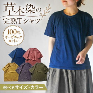 yӂ邳Ɣ[ŁzyIׂJ[ETCYzI[KjbNRbg nTVc / 100@ ؐ TVc  gbvX t@bV Ci[ fB[X Y jZbNX Mt