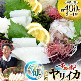 【ふるさと納税】イカ 刺身 今が旬の ヤリイカ（ 沖漬け 付）2〜4杯 約400g 先行予約 [漁師の店満月 長崎県 平戸市 hr42bgy420485] おつまみ 海鮮 漬け さしみ 新鮮 いか 冷凍