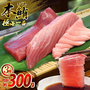 yӂ邳Ɣ[Łz}O ؂g ɊC 3 Zbg v300g Hה lߍ킹 [͘FGrX 茧 ˎs hr42bgy390056] ܂ hg  Ԑg Ƃ g  ܂ Ⓚ  
