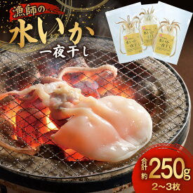 【ふるさと納税】いか 一夜干し 干物 漁師の水烏賊一夜干し 2〜3枚 約250g [中野漁業 長崎県 平戸市 hr42bgy400067] イカ 乾物 水いか 冷凍