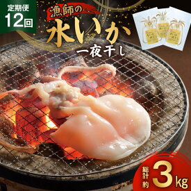 【ふるさと納税】いか 一夜干し 干物 漁師の水烏賊一夜干し 2〜3枚 約250g 12回 定期便 総計3kg [中野漁業 長崎県 平戸市 hr42bgy400075] イカ 乾物 水いか 冷凍