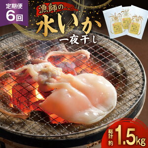 yӂ邳Ɣ[Łz 銱  t̐G銱 2`3 250g 6  v1.5kg [싙 茧 ˎs hr42bgy400078] CJ   Ⓚ