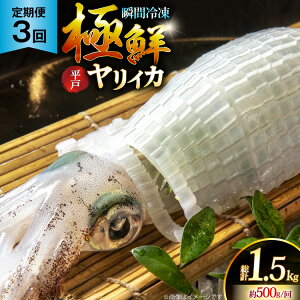 yӂ邳Ɣ[ŁzCJ hg ɑN CJ v1.5kgi500g×3j 3  [C 茧 ˎs hr42bgy400090] ܂ CJ VN CN  uԗⓀ Ⓚ RR  Ⓚ  ^