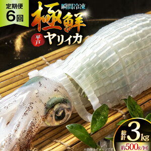 yӂ邳Ɣ[ŁzCJ hg ɑN CJ v3.0kgi500g×6j 6  [C 茧 ˎs hr42bgy400091] ܂ CJ VN CN  uԗⓀ Ⓚ RR  Ⓚ  ^