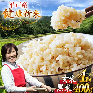yӂ邳Ɣ[Łz ߘa7N ˂̌N 4kg  400g Zbg v4.4kg [GRt@[ic 茧 ˎs hr42bgy400108] RVqJ iczmJ qmqJ R     ͂ 