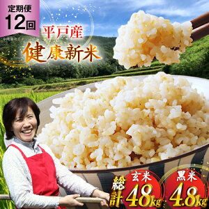 yӂ邳Ɣ[Łz ߘa7N ˂̌N 4kg  400g Zbg v4.4kg 12 v 52.8kg [GRt@[ic 茧 ˎs hr42bgy400113] RVqJ iczmJ qmqJ R   