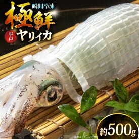 【ふるさと納税】イカ 刺身 極鮮ヤリイカ 約500g [海隆丸 長崎県 平戸市 hr42bgy400118] ヤリイカ 新鮮 海鮮 魚介 瞬間冷凍 冷凍 コリコリ 直送 冷凍 個包装 真空パック