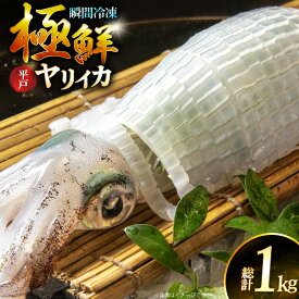 【ふるさと納税】イカ 刺身 極鮮ヤリイカ 約1kg [海隆丸 長崎県 平戸市 hr42bgy400122] おつまみ ヤリイカ 新鮮 海鮮 魚介 瞬間冷凍 冷凍 コリコリ 直送 冷凍 個包装 真空パック