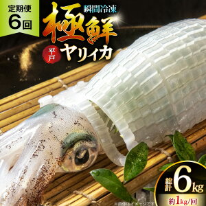 yӂ邳Ɣ[ŁzCJ hg ɑNCJ 1kg 6  [C 茧 ˎs hr42bgy400130] ܂ CJ VN CN  uԗⓀ Ⓚ RR  Ⓚ  ^pbN