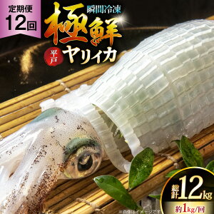yӂ邳Ɣ[ŁzCJ hg ɑNCJ 1kg 12  [C 茧 ˎs hr42bgy400131] ܂ CJ VN CN  uԗⓀ Ⓚ RR  Ⓚ  ^pbN